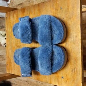 Kookaburra, 10, blue